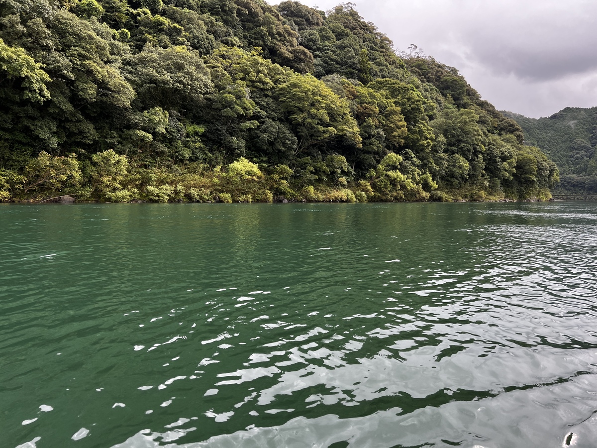 四万十川の川面をカワセミになった気分で進みます