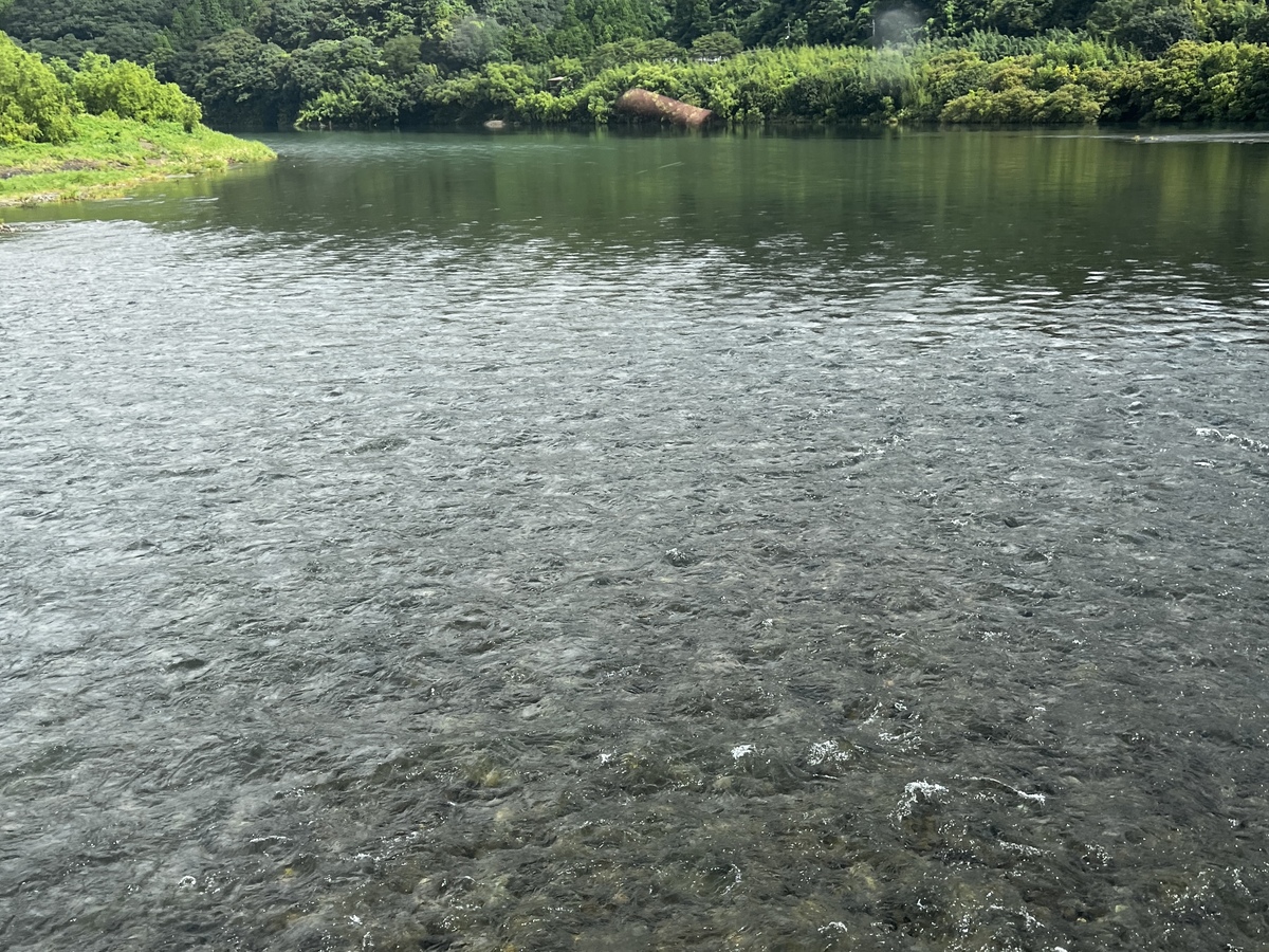 浅瀬で太陽が差し込むとキラキラ光ります