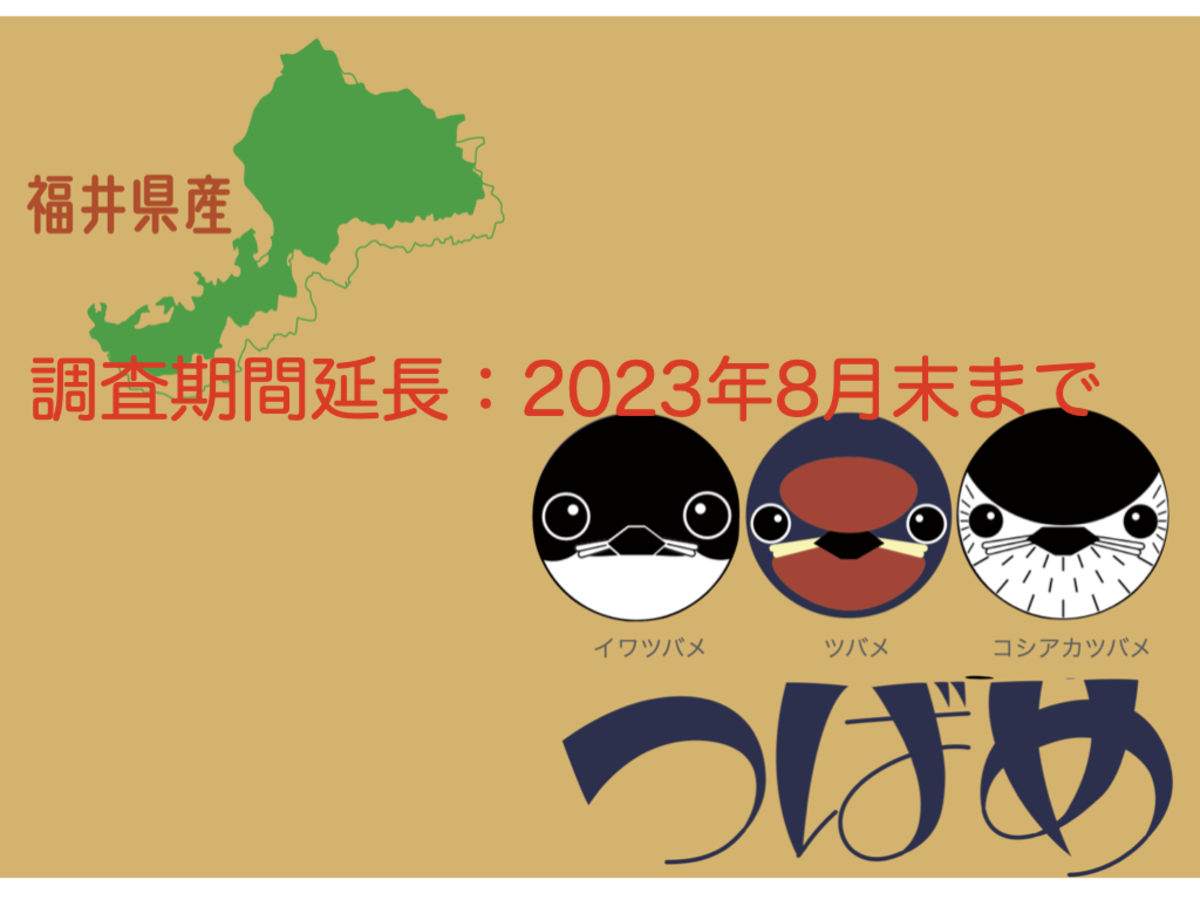 福井県産つばめの巣調査期間延長