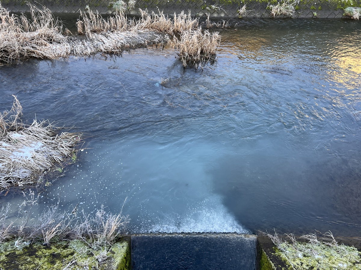 今朝の鞍谷川の色水