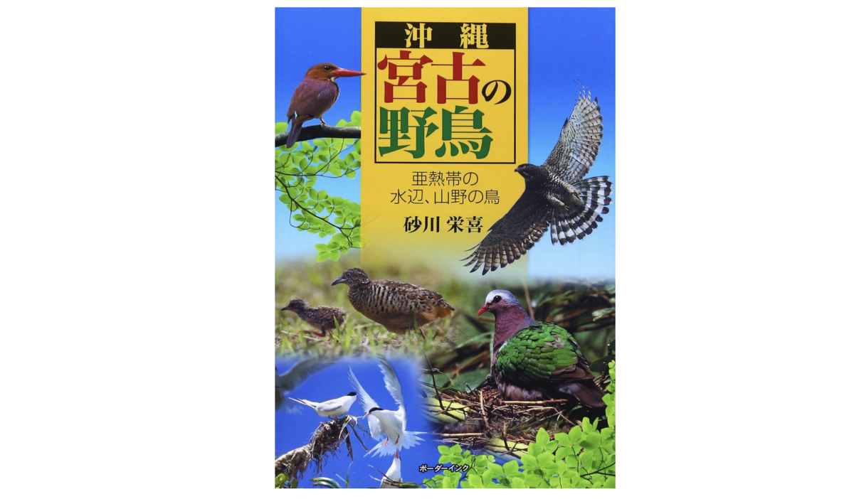 沖縄宮古の野鳥